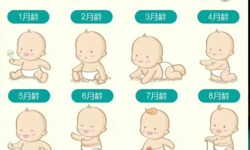 脾疼痛消化不好怎么办网 - 网站提供脾疼痛消化不好怎么办吃什么药小常识、脾疼痛消化不好怎么办缓解