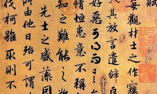 脾疼痛消化不好怎么办网 - 网站提供脾疼痛消化不好怎么办吃什么药小常识、脾疼痛消化不好怎么办缓解