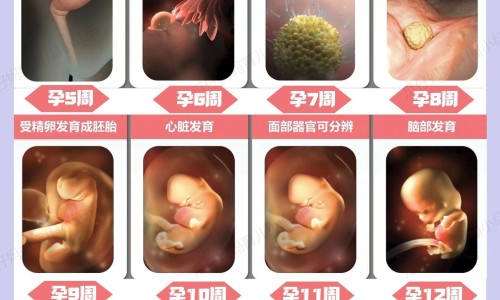 脾疼痛消化不好怎么办网 - 网站提供脾疼痛消化不好怎么办吃什么药小常识、脾疼痛消化不好怎么办缓解